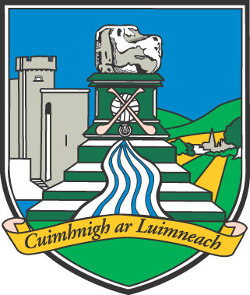 Example 4 Club Crest